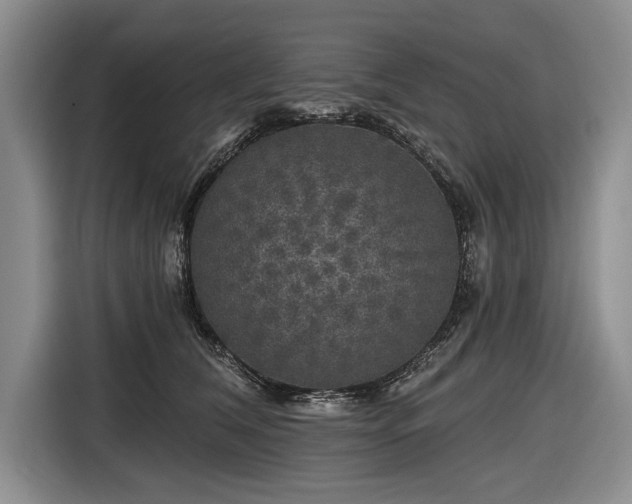 X0000116590612200912171555