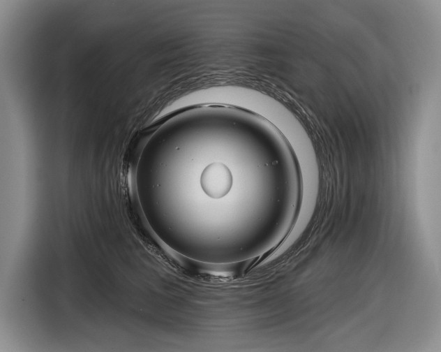 X0000116590613200912171554