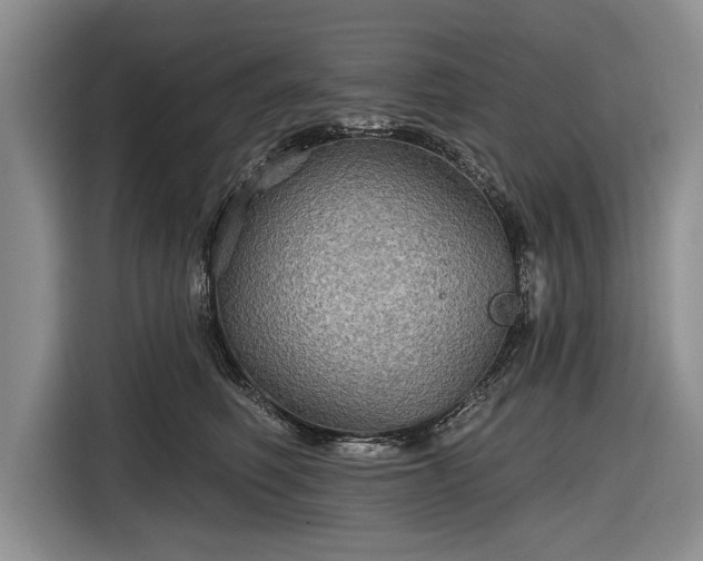 X0000116590614200912171554