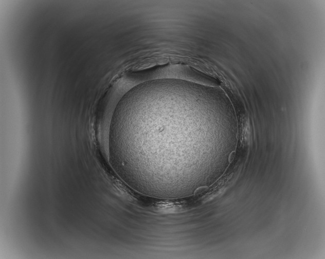 X0000116590616200912171554