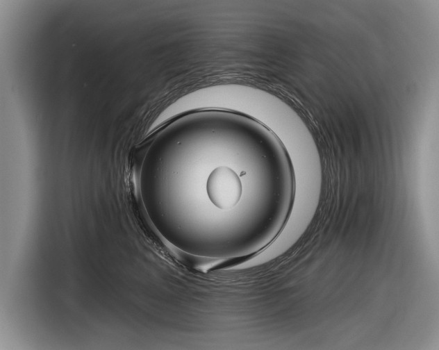 X0000116590617200912171554