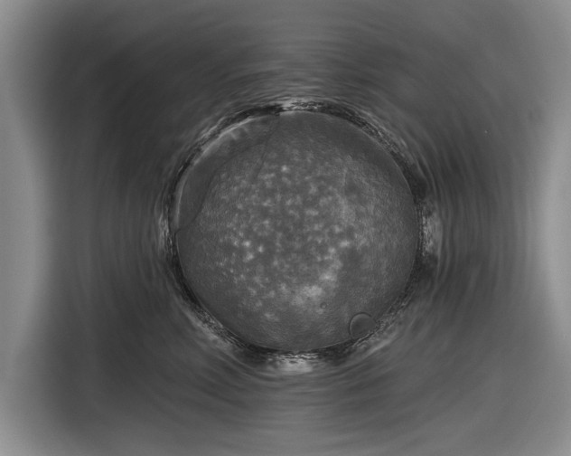 X0000116590618200912171554