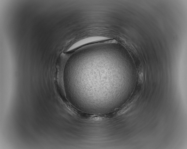 X0000116590620200912171554