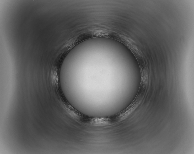 X0000116590622200912171554