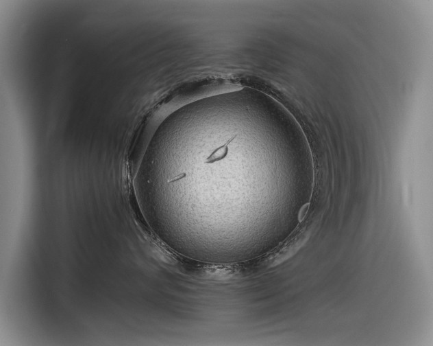 X0000116590624200912171554