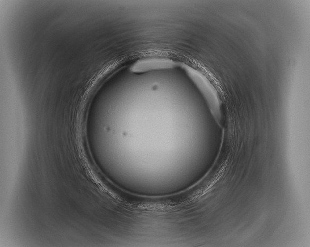 X0000116590625200912171554