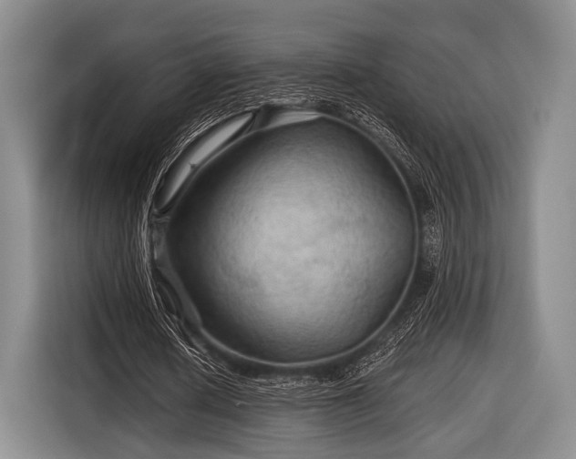 X0000116590626200912171554