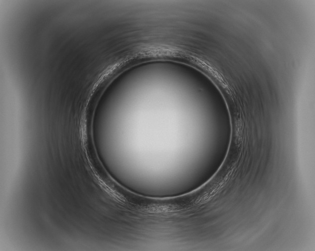 X0000116590629200912171554