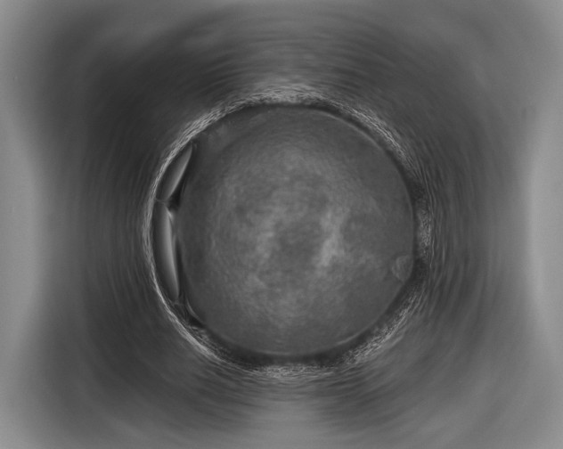 X0000116590630200912171554