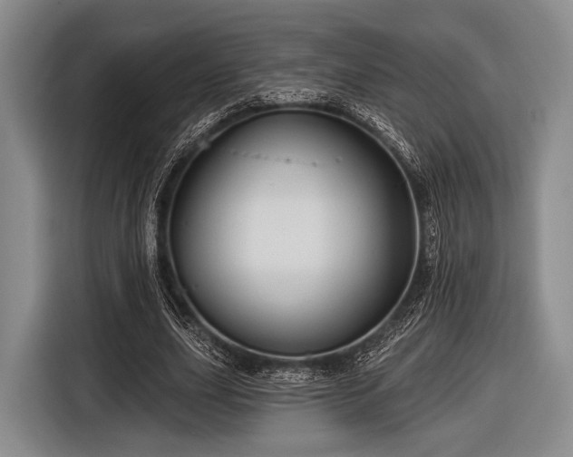 X0000116590631200912171554