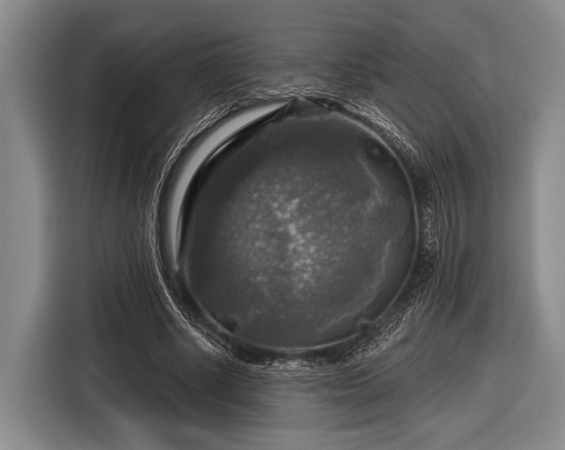 X0000116590634200912171554