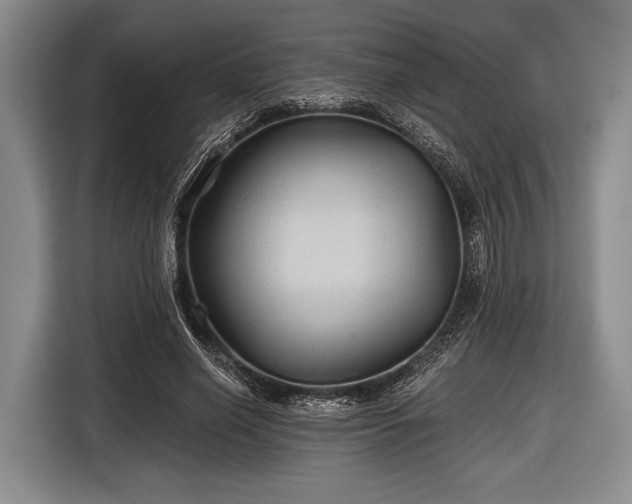 X0000116590638200912171554