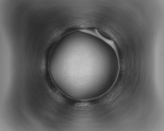 X0000116590639200912171554