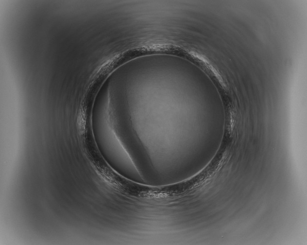 X0000116590640200912171554