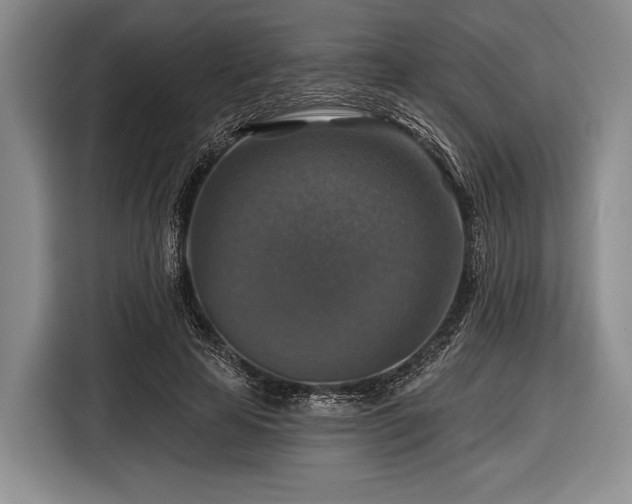 X0000116590641200912171554