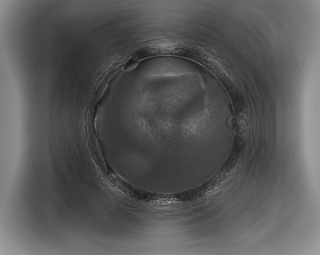 X0000116590642200912171554