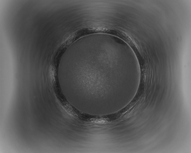 X0000116590643200912171554