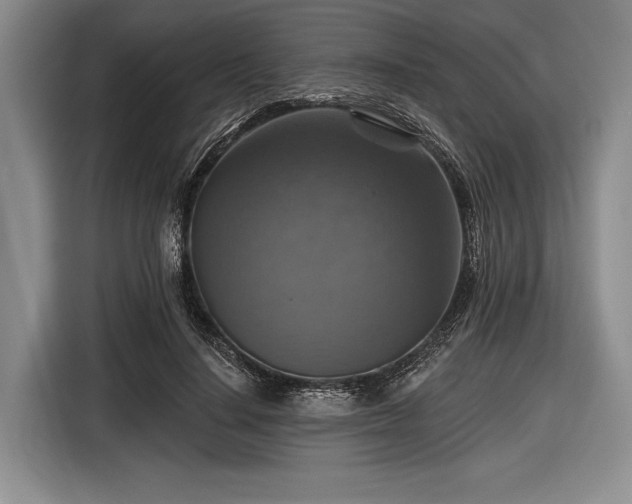 X0000116590644200912171554