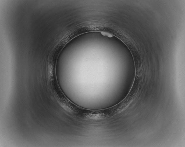 X0000116590646200912171554