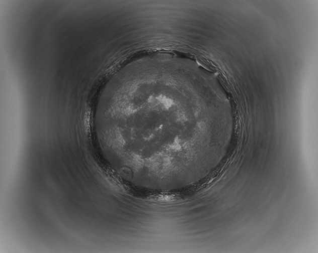 X0000116590647200912171554