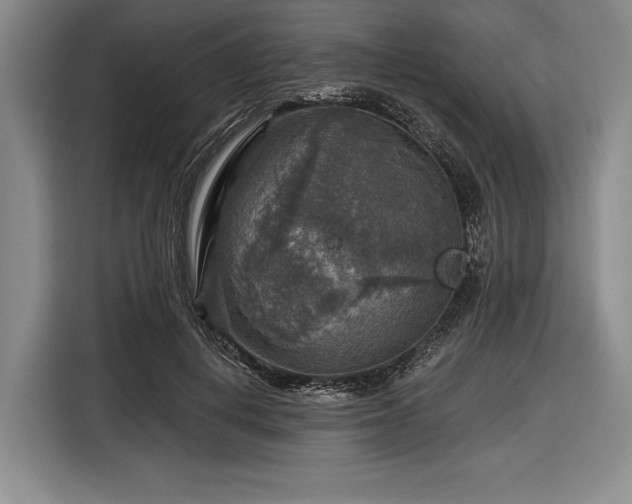 X0000116590648200912171554