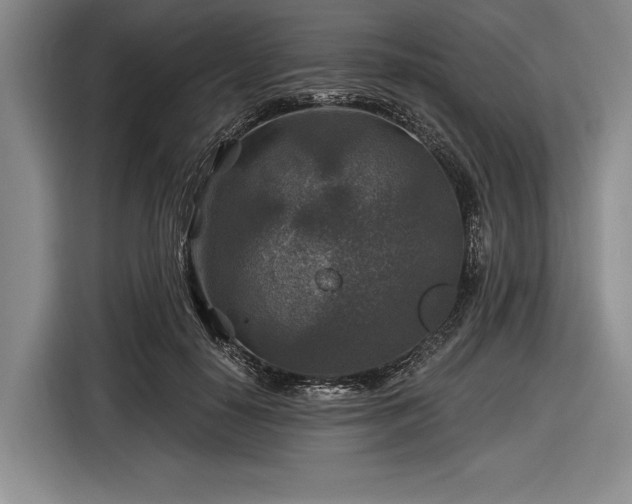 X0000116590650200912171554