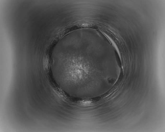 X0000116590651200912171554