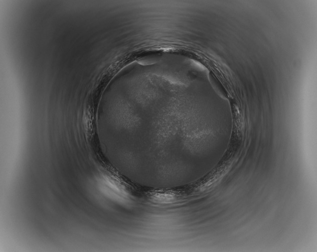 X0000116590653200912171554