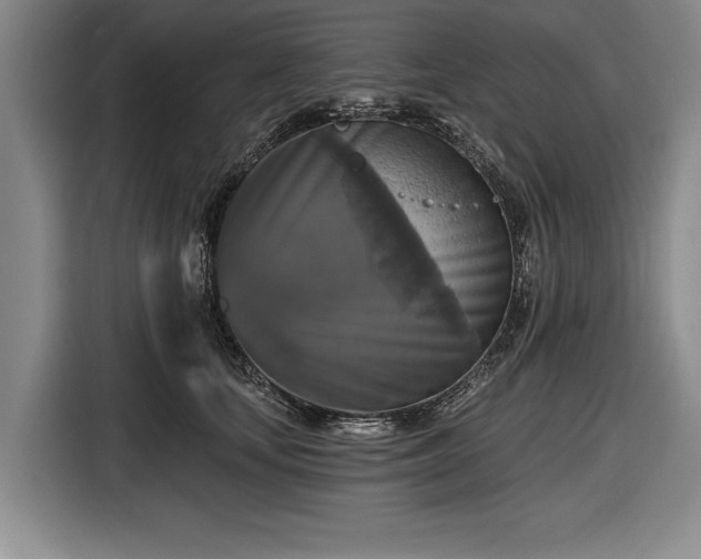 X0000116590659200912171554