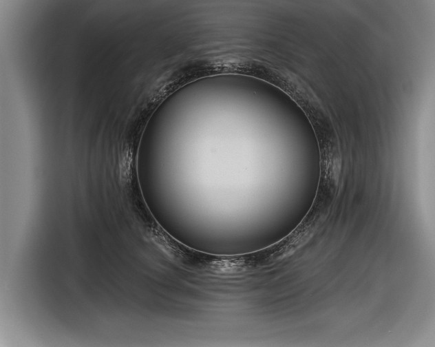 X0000116590660200912171554