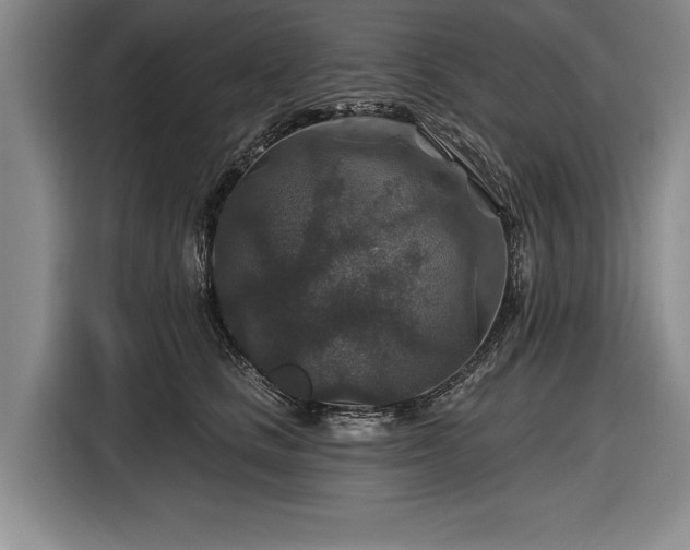 X0000116590661200912171554