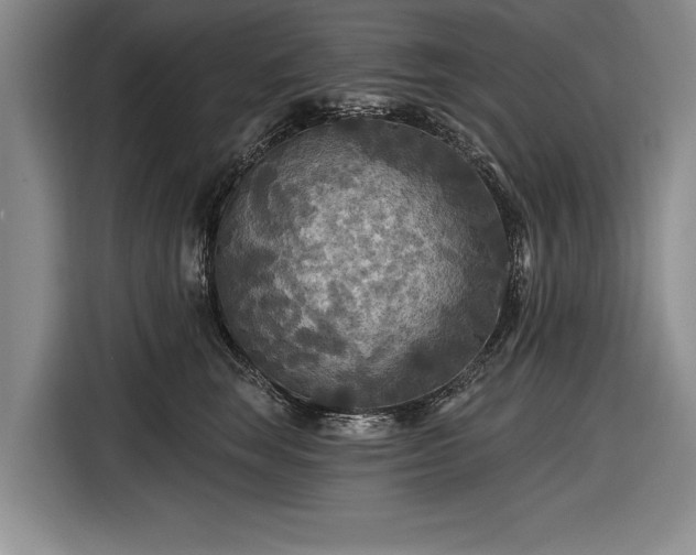 X0000116590663200912171554