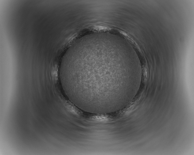 X0000116590668200912171554