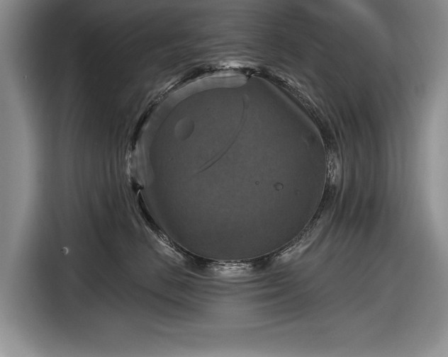 X0000116590670200912171554