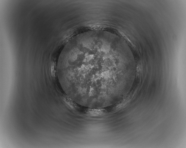 X0000116590671200912171554