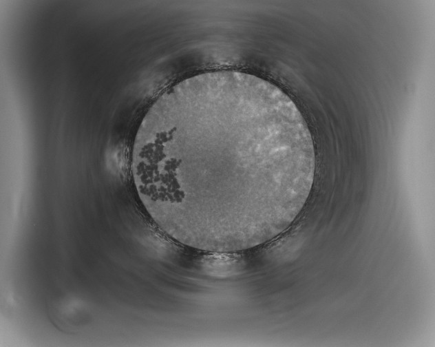 X0000116590672200912171554