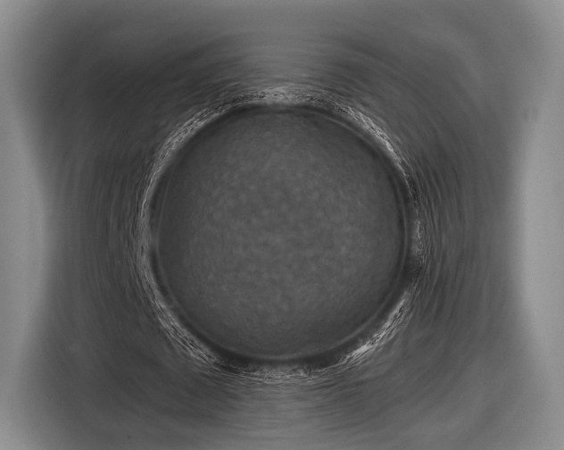 X0000116590673200912171554