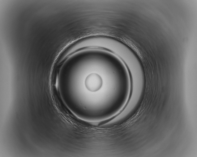 X0000116590676200912171554