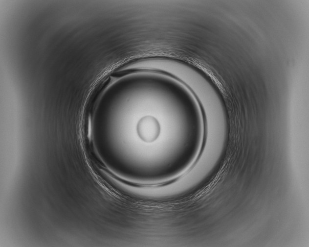 X0000116590677200912171554