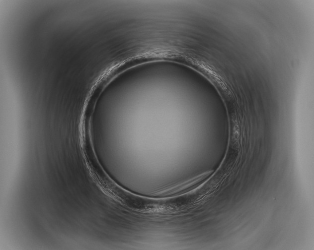 X0000116590678200912171554