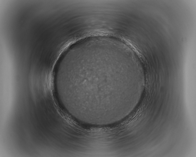 X0000116590679200912171554