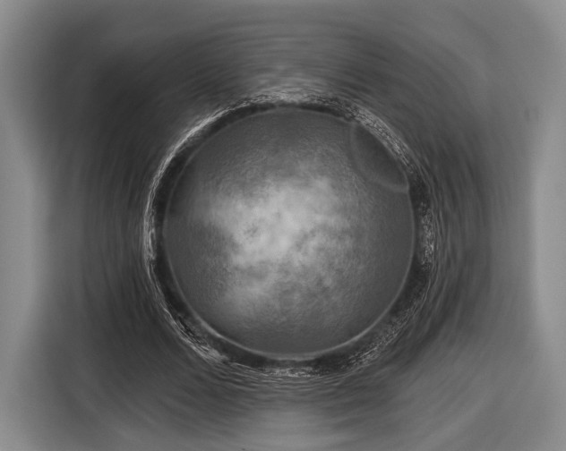 X0000116590680200912171554