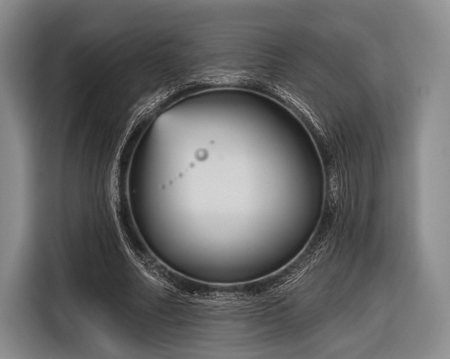 X0000116590682200912171554