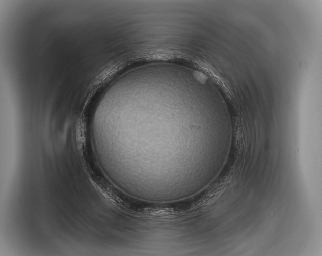 X0000116590683200912171554