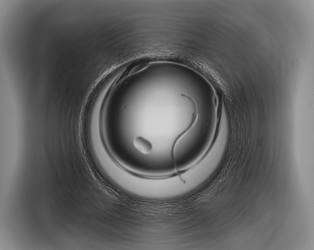 X0000116590684200912171554