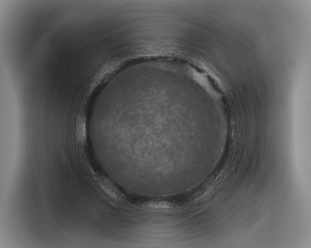 X0000116590685200912171554