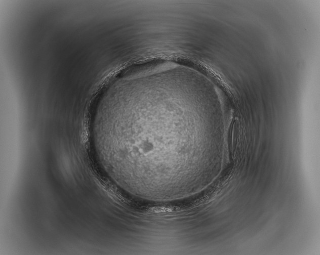 X0000116590687200912171554