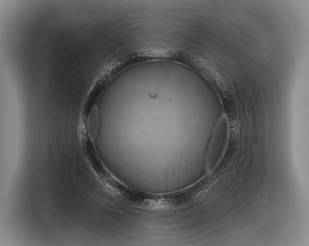 X0000116590688200912171554