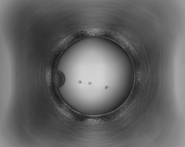 X0000116590690200912171553