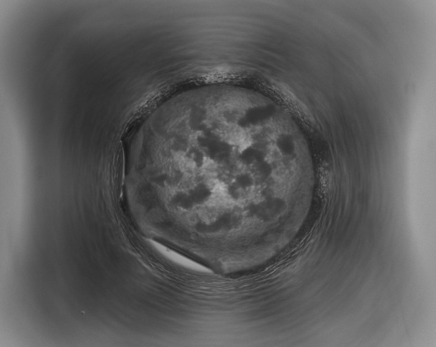 X0000116590691200912171553